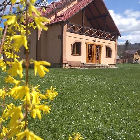 Затишок В Карпатах Villa Jaremtsje Eksteriør bilde