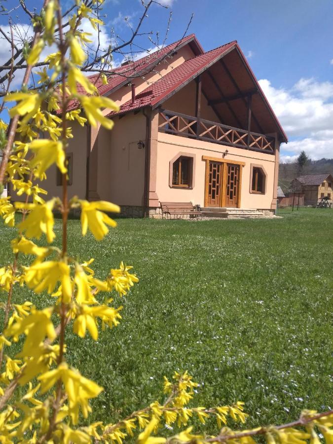 Затишок В Карпатах Villa Jaremtsje Eksteriør bilde