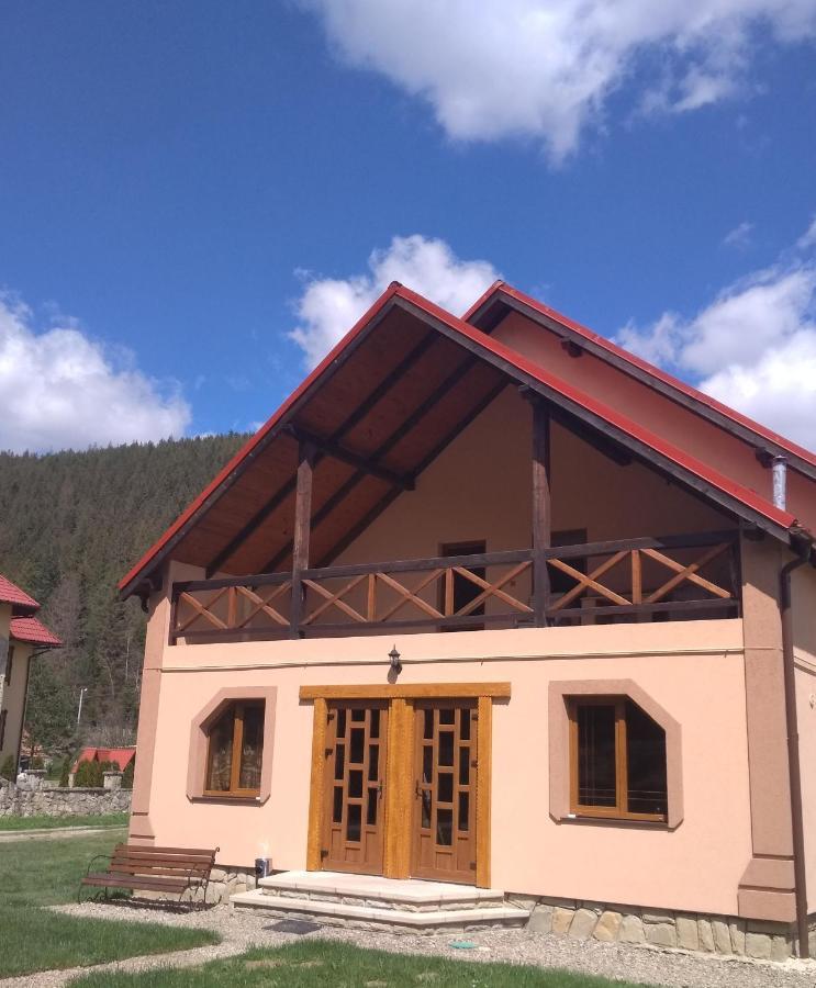 Затишок В Карпатах Villa Jaremtsje Eksteriør bilde