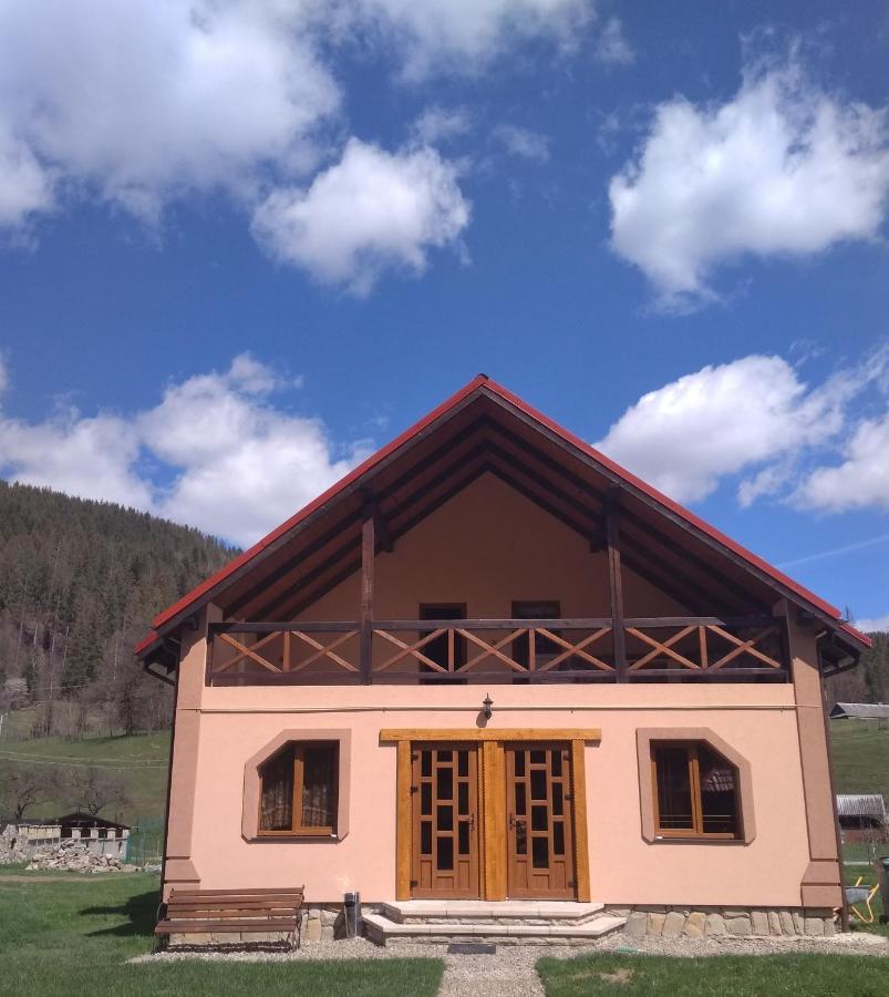 Затишок В Карпатах Villa Jaremtsje Eksteriør bilde