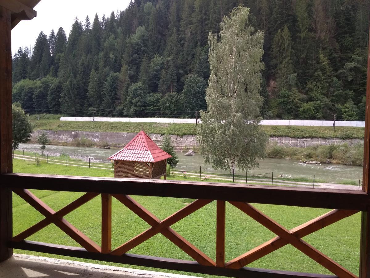 Затишок В Карпатах Villa Jaremtsje Eksteriør bilde