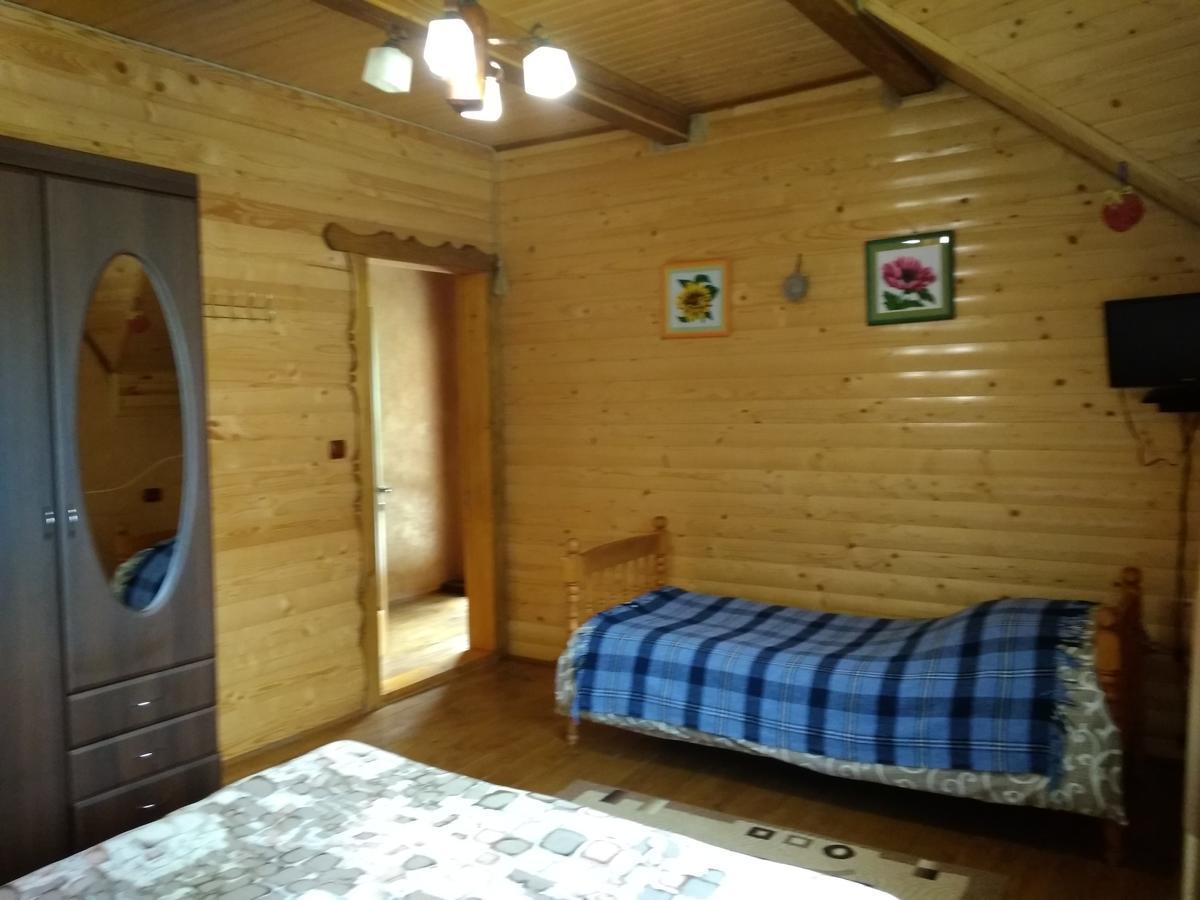 Затишок В Карпатах Villa Jaremtsje Eksteriør bilde